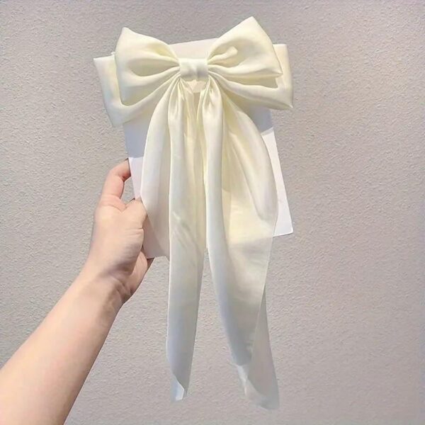 Hair Bow Clip for Women & Girls Pack of 2