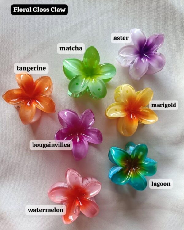 Big Hawaiian Flower Claw Clips pack of 4 - Image 6