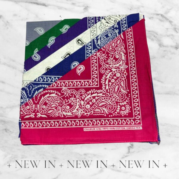 StreetCore Multicolor Bandana Set – 7 Classic Paisley Styles - Image 4