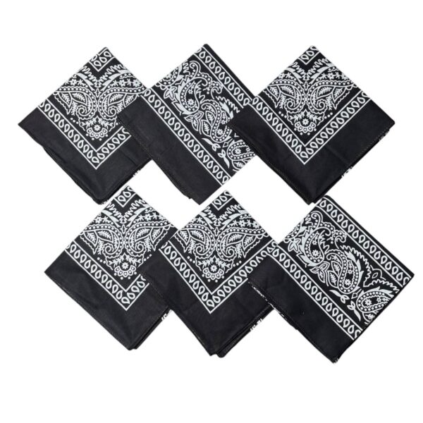 UrbanEdge Paisley Bandana Handkerchief – Black & White Classic